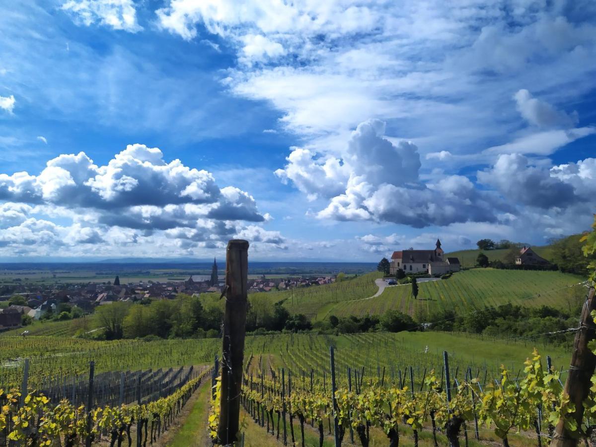 Le P'Tit Coin De Chez Nous Villa Dambach la Ville Bagian luar foto