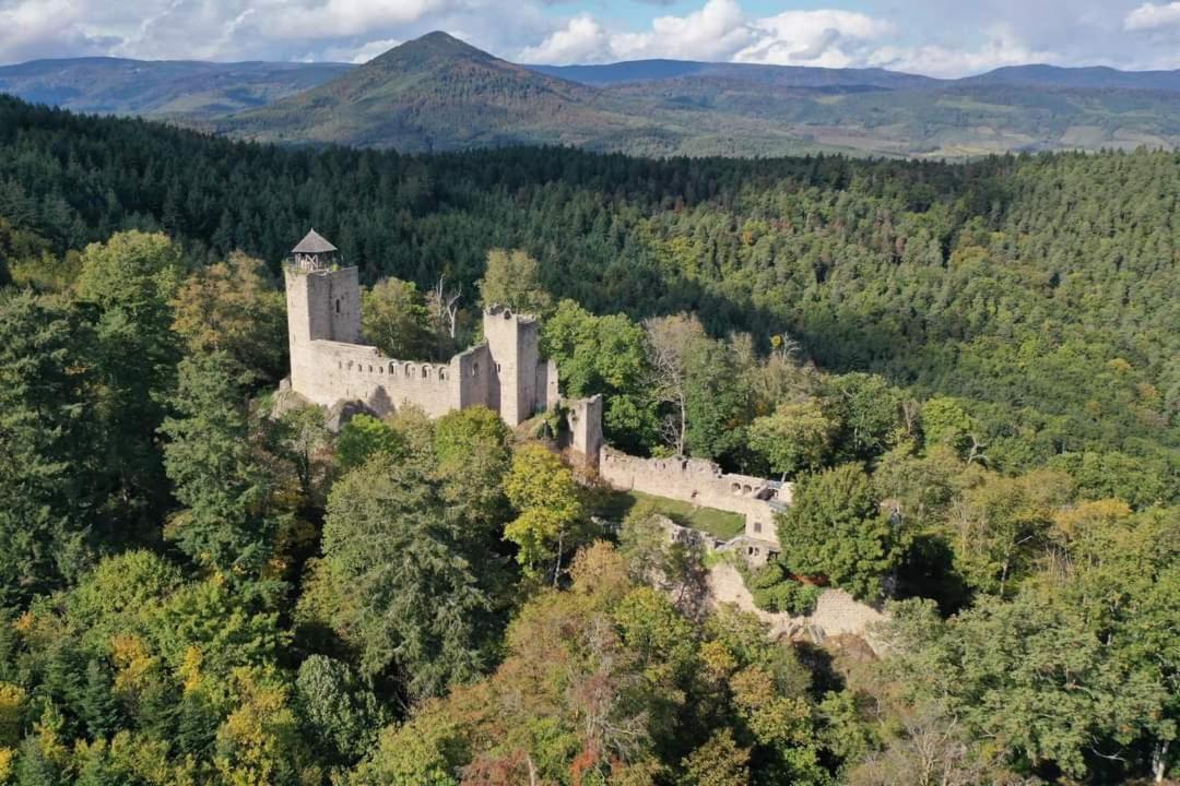 Le P'Tit Coin De Chez Nous Villa Dambach la Ville Bagian luar foto