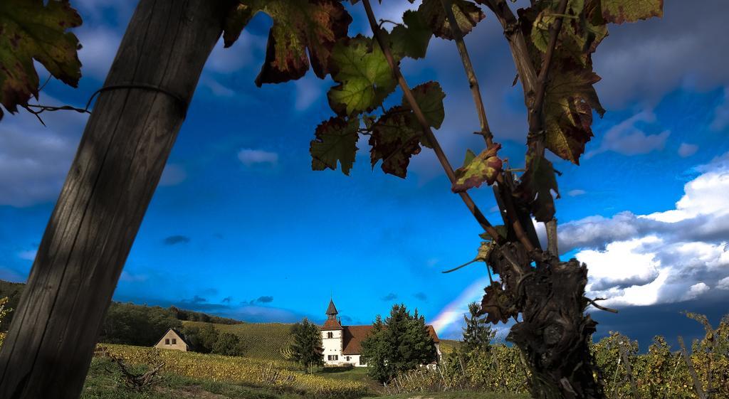 Le P'Tit Coin De Chez Nous Villa Dambach la Ville Bagian luar foto