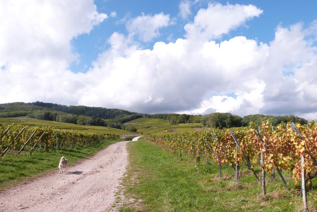 Le P'Tit Coin De Chez Nous Villa Dambach la Ville Bagian luar foto