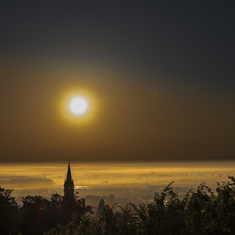 Le P'Tit Coin De Chez Nous Villa Dambach la Ville Bagian luar foto