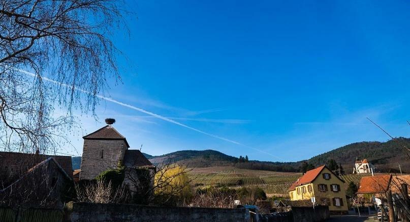 Le P'Tit Coin De Chez Nous Villa Dambach la Ville Bagian luar foto